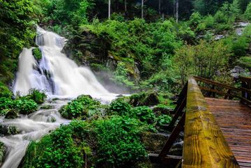 Moderner Gasthof mit 25 Betten nahe Baden-Baden Bild