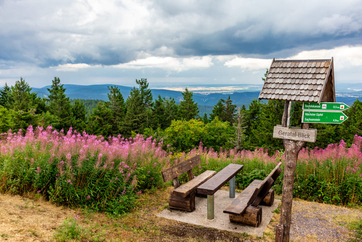 Vollhotel im Thüringer Wald zu verkaufen Bild 0